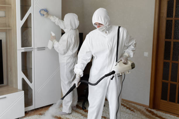 Mold Removal and Inspection in Panhandle, TX