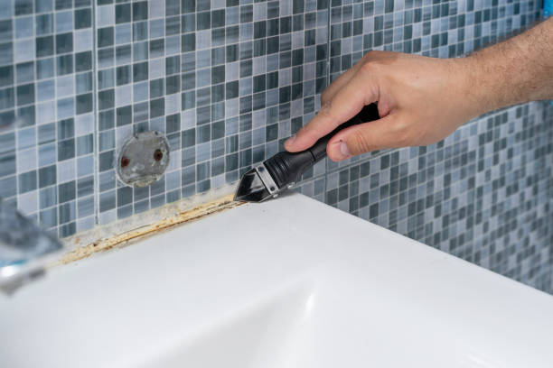 Best Office Mold Removal Services  in Panhandle, TX