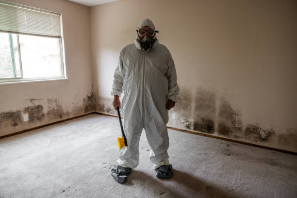 Best Residential Mold Removal  in Panhandle, TX